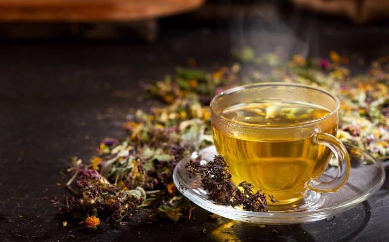 Sipping Wellness: A Comprehensive Guide to Alvita Teas
