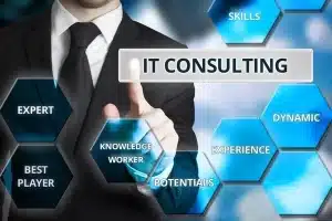 IT consultants