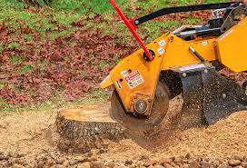 The Benefits of Stump Grinding: Why Remove Tree Stumps from Your Property