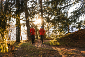 La randonnée: conseils pour les débutants