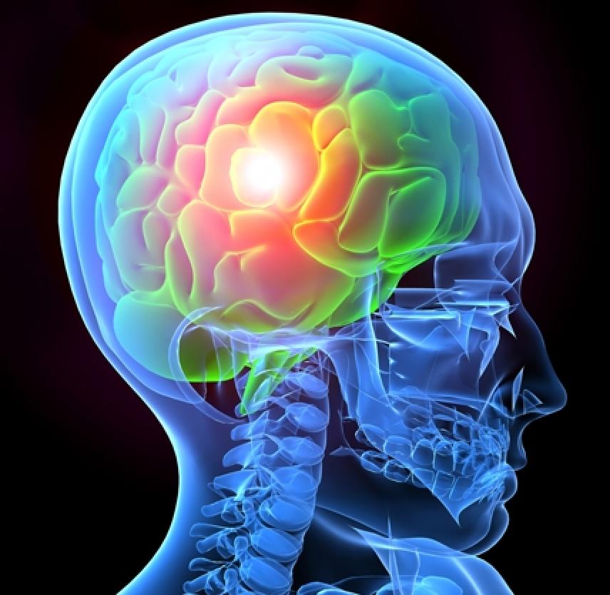 What You Should Know About Traumatic Head Injuries & Long-Term Recovery
