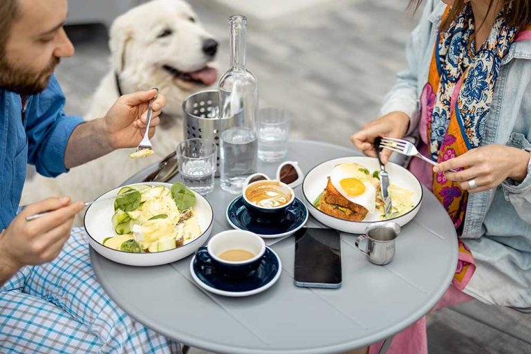 One of the Top Dog-Friendly Restaurants in Dubai You Should Know About