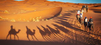 The Ultimate Guide to Desert Safari Dubai