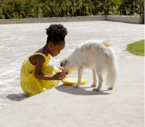 Video Doorbell Features That Actually Matter